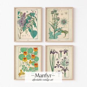 Cheap Art Nouveau Flower Pack —  Vintage Flower Illustrations — printable plant Art — Instant download