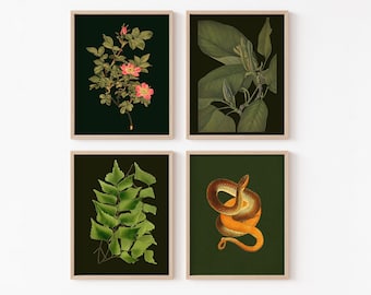 Dark Cottagecore nature pack — Vintage Illustrations — printable botanical and animal art