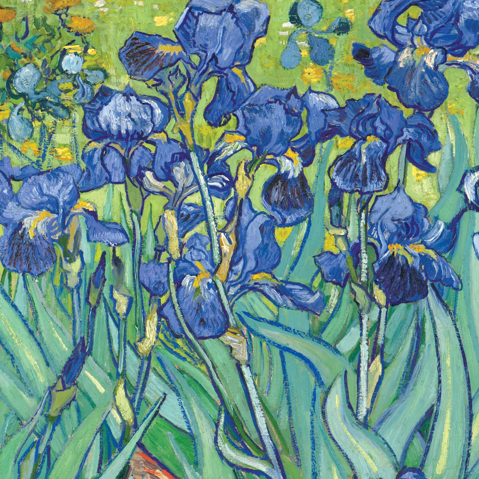 Cheap Printable Art Irises by Vincent Van Gogh Fine Art Etsy