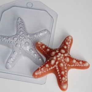 May include: A clear plastic mold of a starfish with a pink and white starfish made from the mold. The starfish has a textured surface with small raised dots.
