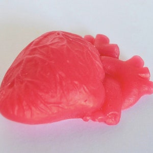 17cm 3D silicone mold, XL Heart Candle Mold, Anatomical Heart