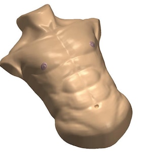 SEXY TORSO MOLD, Adult Mold, Bath Bomb Mold, Naked Man Mold, Chocolate Mold, Gag Gift Mold, Bachelorette Cake Mold, Athlete Body, Six Pack