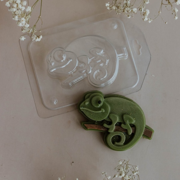 IGUANA MOLD, Chocolate Mold, Soap Mold, Bath Bomb Mold, Cake Decoration, Candle Wax Mold, Unique Plastic Shaped Mold, Lizard Mold