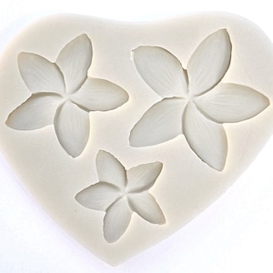 PLUMERIA MOLD, Plumeria Flower Mold, Fondant Mold, Silicone Chocolate Mold, Cupcake Decorating, Clay, Resin Mold, Tropical Princess Theme