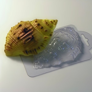May include: A clear plastic mold of a seashell, with a yellow seashell sitting on top of it.