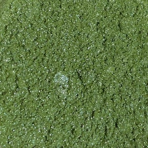 LUSTER DUST by Sprinklify - Classic Green - Edible Paint for Cakes, Cupcakes, Treats, Cookies, Chocolates, Usa Baking Supplies, Sparkles