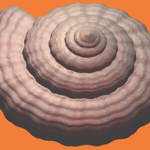 May include: A close-up of a light brown seashell with a spiral pattern. The shell has a textured surface and a smooth, rounded edge.