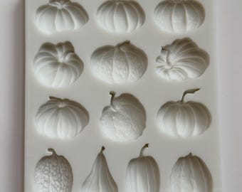 PUMPKIN VARIETY MOLD, Silicone Fondant Mold, Thanksgiving Theme, Autumn, Fall, Halloween, Garden Theme Cupcake Decorating, Veggies Mold