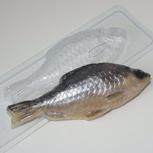 May include: A clear plastic mold of a fish, with a silver-colored fish inside the mold.