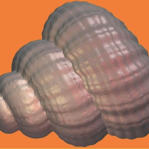 SEA SHELL MOLD, Soap Mold, Bath Bomb Mold, Chocolate Mold, Fondant Mold, Under the Sea Theme Mold, Ocean, Beach Mold, Nautical Mold, Sea