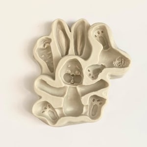 BUNNY & CARROT MOLD, Easter Bunny Fondant Mold, Rabbit Chocolate Mold, Cake Decorating, Garden Theme Mold, Spring Mold, Silicone Resin Mold