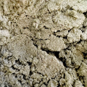 LUSTER DUST by Sprinklify - Olive Green - Edible Food Grade Paint for Cakes, Cupcakes, Treats, Cookies, Chocolates, USA Baking Supplies