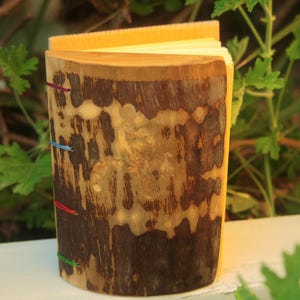 May include: A handmade wooden journal with a natural bark exterior. The journal is cylindrical, with colorful thread accents and a stack of blank pages. The wood grain is visible, and the journal is set against a backdrop of green foliage.