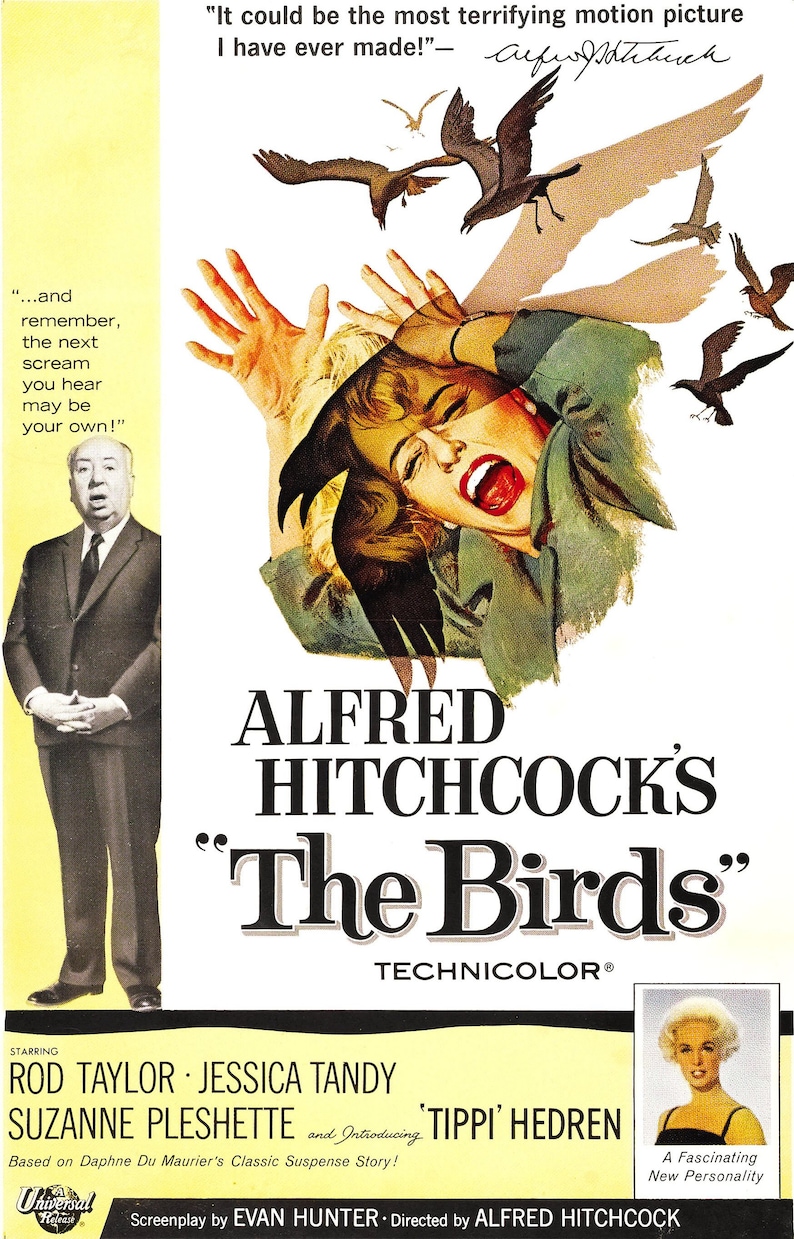 The Birds Alfred Hitchcock Vintage movie poster 759 image 0