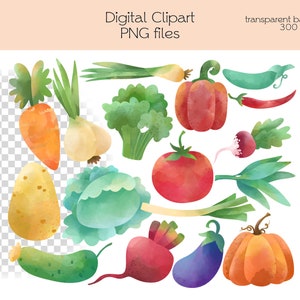 Vegetables Clipart / PNG Files / Instant Download - Etsy
