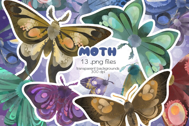 Moth Insect Theme Moth Clipart / Insect Clipart / PNG Files / Instant Download - Etsy