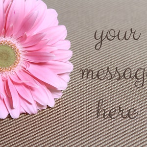Pink I Gerber Daisy I  Digital I for website or boutique