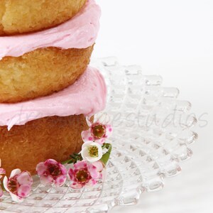 Cake Print | Pink Frosting | Bakery Decor | Digital Print for planners