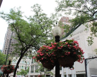 Maceta Chicago, Impresiones De Arte Mural, Fotografía Chicago, Impresiones Midwest, Impresiones Chicago, Impresiones Digitales, Decoración De Oficina, Decoración del Hogar