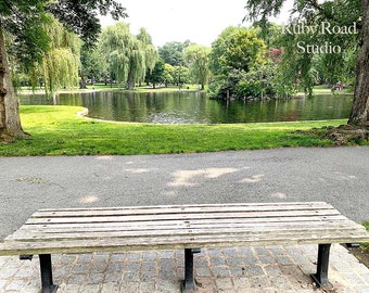 Boston Public Garden Digital Print, Good Will Hunting Bench, Boston Wall Art