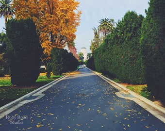 Sacramento State Capitol Park, California Grabados, Impresión descargable, Obras de arte de viaje, Paisaje de la costa del Pacífico, Arte mural, Decoración del hogar y la oficina
