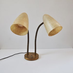 Double gooseneck outlet desk lamp