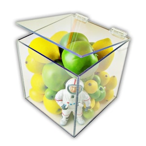 May include: A clear acrylic box with a hinged lid, partially open, filled with green and yellow fruit. A small astronaut figurine stands in the center of the box.