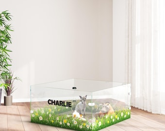 Designer Clear Acrylic Pet Playpen, Large Clear Acrylic Puppy Playpen, Acrylic Dog Playpen Fence: Indoor Clear Acrylic Pet