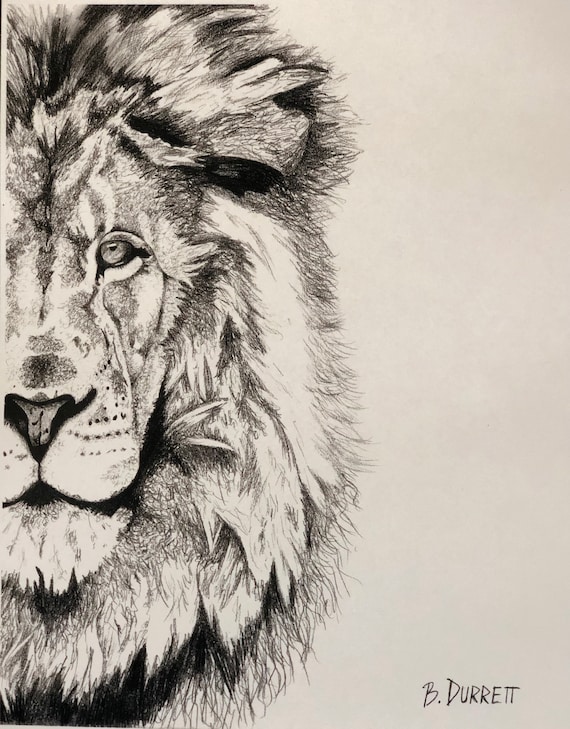 Featured image of post Pencil Drawing Images Lion - See more ideas about lions, pencil drawings, drawings.