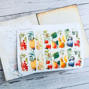 Vintage Fruits Ephemera Small Sticker For Junk Journal | Fruits Ephemera For Scrapbook | Small Sticker For Planner | Vintage Ephemera | 16