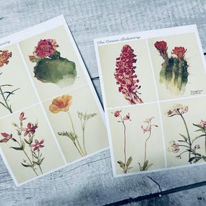 Vintage botanische Ephemera Aufkleber für Junk Journal | Pflanzen Ephemera Aufkleber |  Sticker für den Planer |  Sticker für Journal | 2 Druckbogen