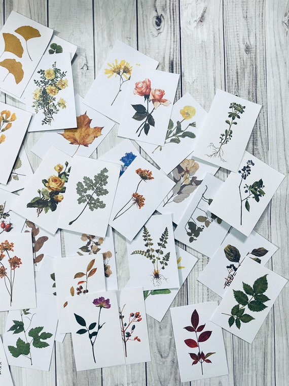A Lot of 3 Sheets Botanical Floral Washi Stickers for Junk Journal. Washi  Stickers,flower Sticker , Scrapbook Supplies, Journaling Supplies. 