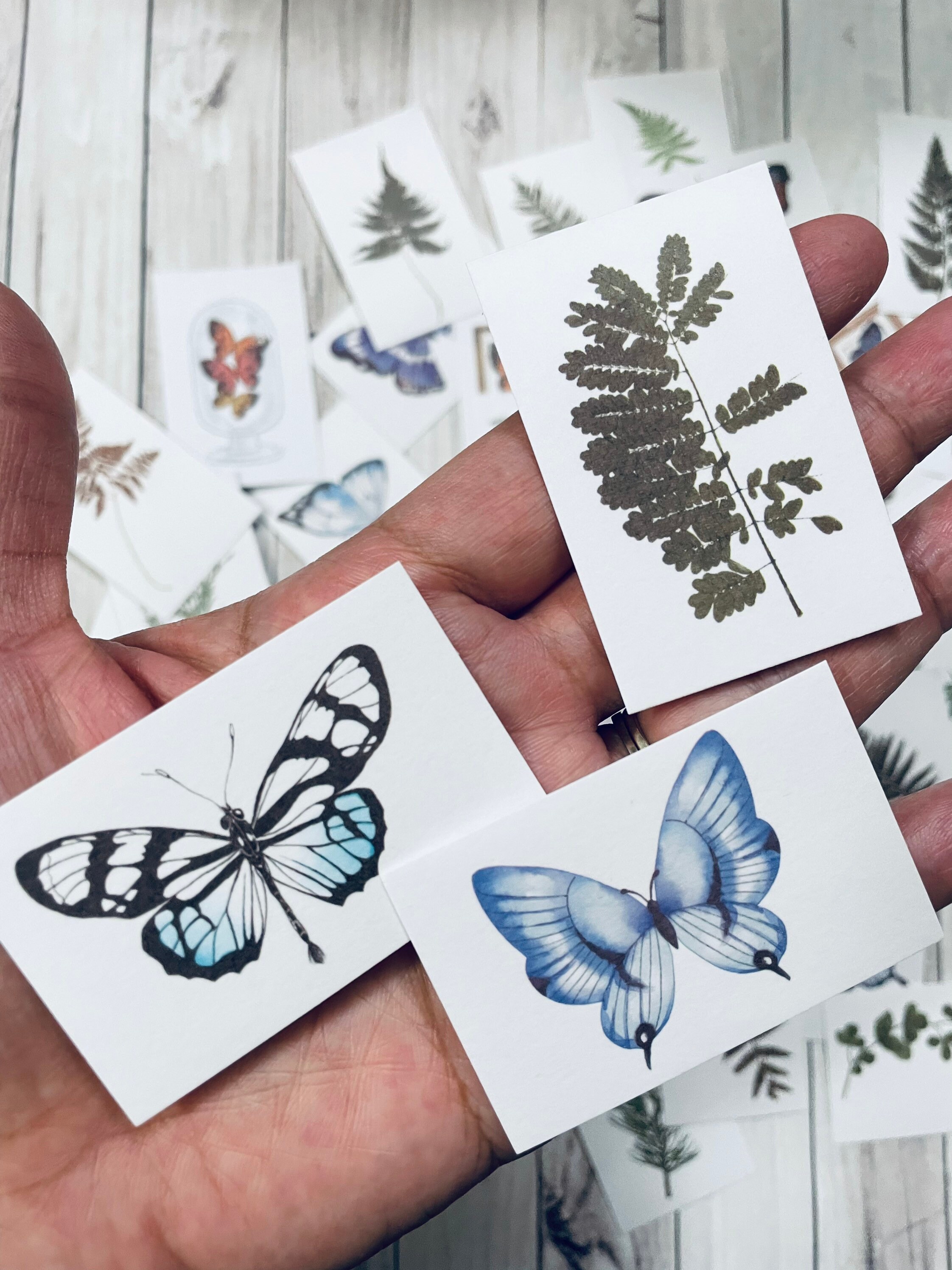 Autocollants Aquarelle fixés | Vecteur Gratuite