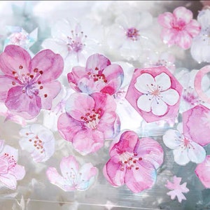 Peut inclure: Une collection d'autocollants floraux à l'aquarelle représentant des fleurs de cerisier roses et blanches. Les autocollants comprennent diverses formes, telles que des hexagones et des cercles, avec une finition translucide et brillante. Le design évoque une esthétique délicate et artistique.