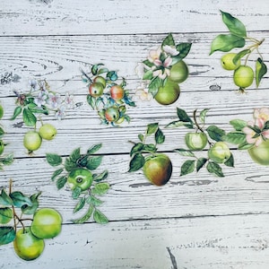 Lot de 10 autocollants en PET avec feuille d'or vert pomme pour la journalisation de déchets, la journalisation d'autocollants, la journalisation de collages et le scrapbooking.