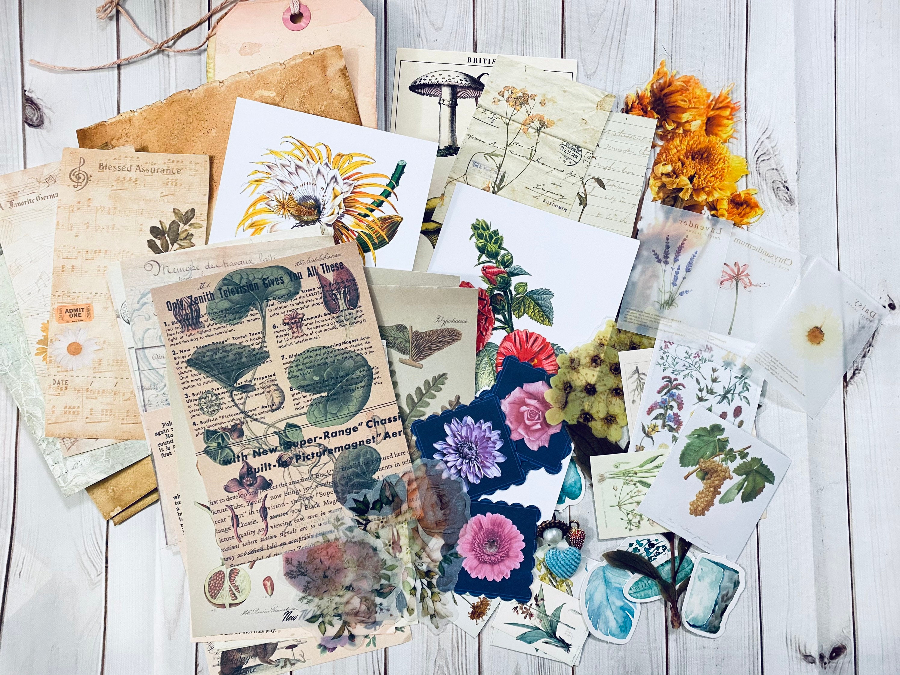 Junk journal botanical flower ephemera mystery grab bag. Junk journal…