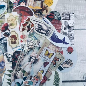May include: A collection of vintage-style stickers featuring various designs, including flowers, butterflies, a hand pointing, a whale, a ladybug, and a woman with a floral crown. The stickers are on a white wooden background.