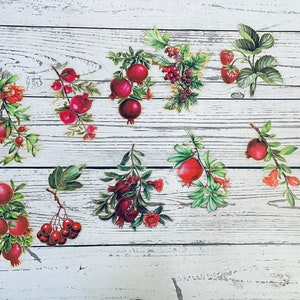 A set of 10 pieces red fruit tree gold foiled PET stickers for junk journaling, sticker journaling, collage journaling, and scrapbooking.