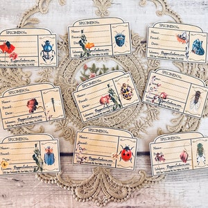 Insekten Exemplare Ephemera die cuts für Junk Journal. Exemplar Ephemera | Insekten Eintagsfliegen | Scrapbook Zubehör | Zeitschriftenzubehör | 9 Karten