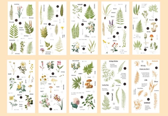 A book of 20 sheets of junk journal botanical stickers. Journal stickers,  scrapbook stickers, botanical floral stickers, washi stickers.