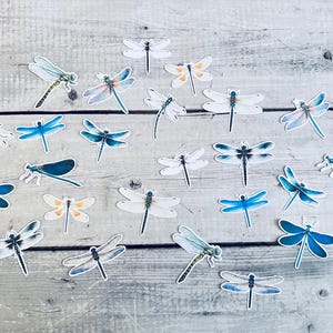 Découpes libellule pour journal indésirable | Découpes éphémères libellule | Fournitures pour journaux | Papier cartonné libellule découpé pour scrapbooking | 24 pièces