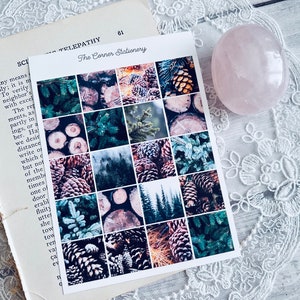 Evergreen Tree Sticker | Aesthetic Ephemera Sticker For Junk Journal | Pine Tree Sticker for Scrapbook | Journal Sticker | Planner Sticker