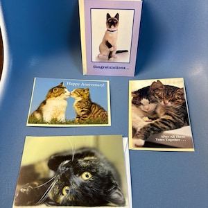 May include: Four greeting cards featuring cat images. One card says "Congratulations..." with a Siamese cat. Another says "Happy Anniversary!" with two cats kissing. A third card shows two cats cuddling, and the last card shows a black cat.