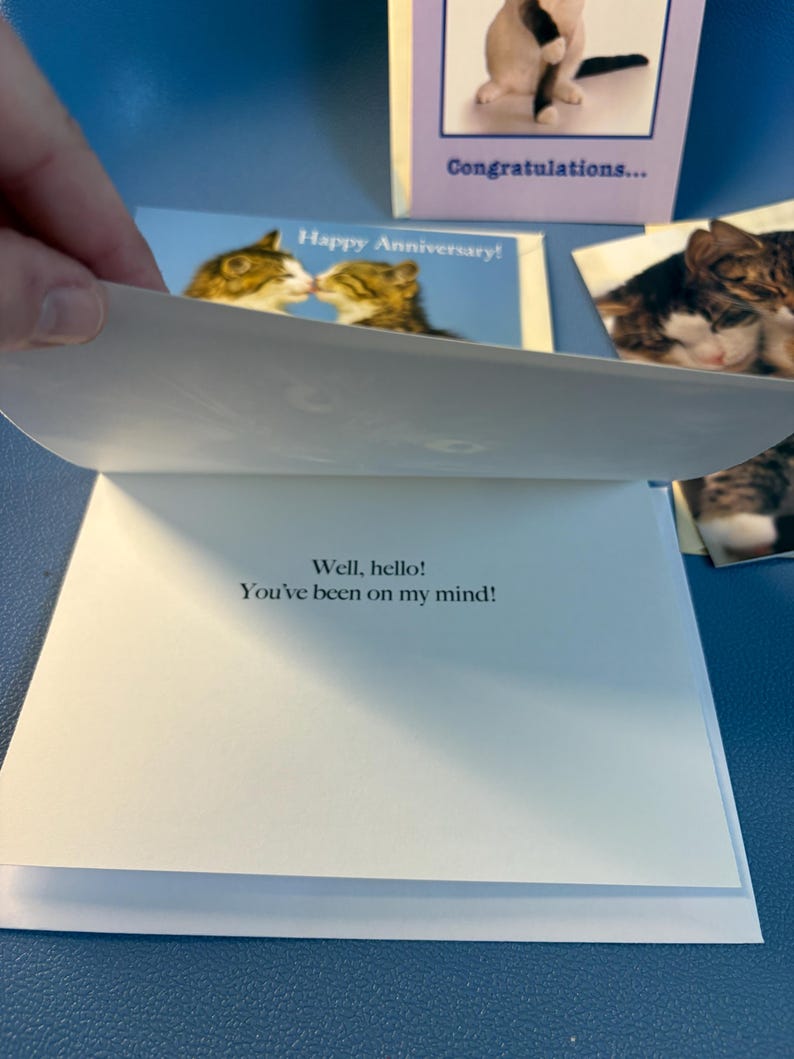 May include: Greeting cards with cat-themed designs. One card features two cats kissing, labeled "Happy Anniversary!". Another card says "Congratulations...". The open card reads "Well, hello! You've been on my mind!"