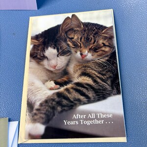 May include: A greeting card featuring two cats cuddling. One cat is brown tabby, the other is white and black. The text "After All These Years Together..." is printed in white at the bottom of the card.