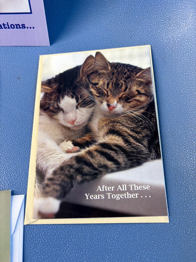 May include: A greeting card featuring two cats cuddling. One cat is brown tabby, the other is white and black. The text "After All These Years Together..." is printed in white at the bottom of the card.