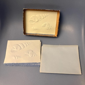 May include: A set of embossed stationery featuring seashell designs. The set includes a stack of notecards with raised images of shells, a box with a similar design, and a stack of blank notecards. The stationery is in shades of white and blue.