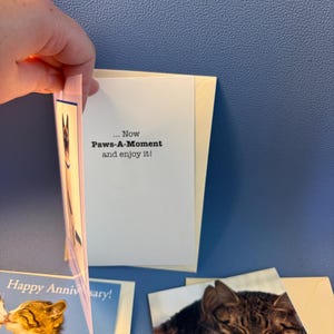 May include: Greeting cards with cat and dog images. One card reads "... Now Paws-A-Moment and enjoy it!" Another card says "Happy Anniversary!" The cards are on a blue surface.