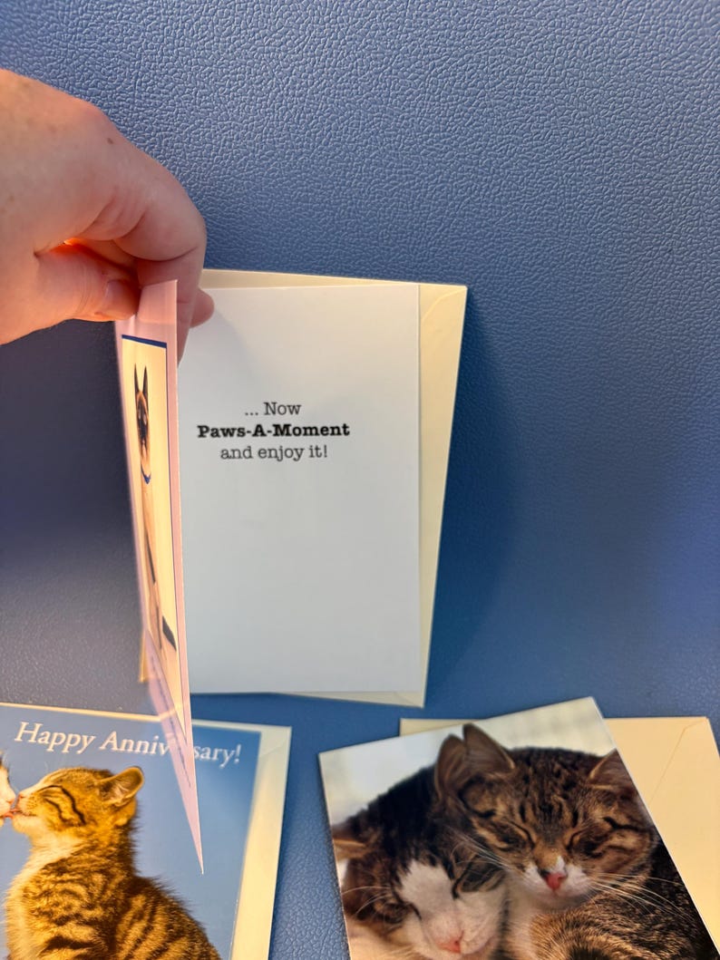 May include: Greeting cards with cat and dog images. One card reads "... Now Paws-A-Moment and enjoy it!" Another card says "Happy Anniversary!" The cards are on a blue surface.