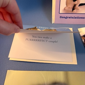 May include: A greeting card with the text "You two make a PURRRRRFECT couple!" is being held open. The card has a cat illustration and the words "Happy Anniversary!" are visible. Another card with a cat image and the word "Congratulations" is also visible.